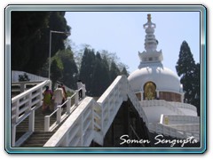Darjeeling - Shanti Stupa - Bengal