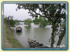 Village by the river, Sunderbans, Bengal